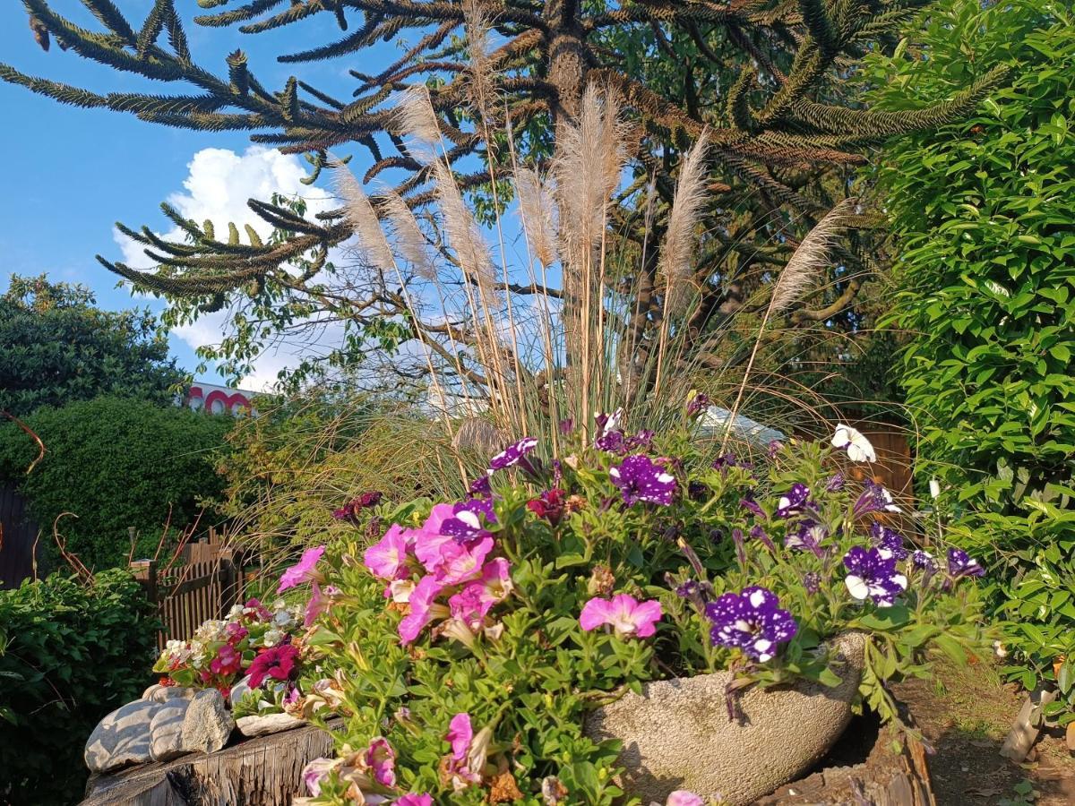 B&B Il Tulipano Como Dış mekan fotoğraf