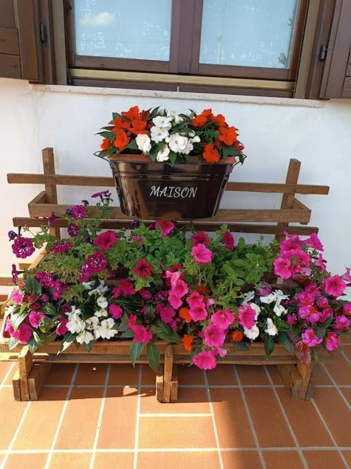 B&B Il Tulipano Como Dış mekan fotoğraf