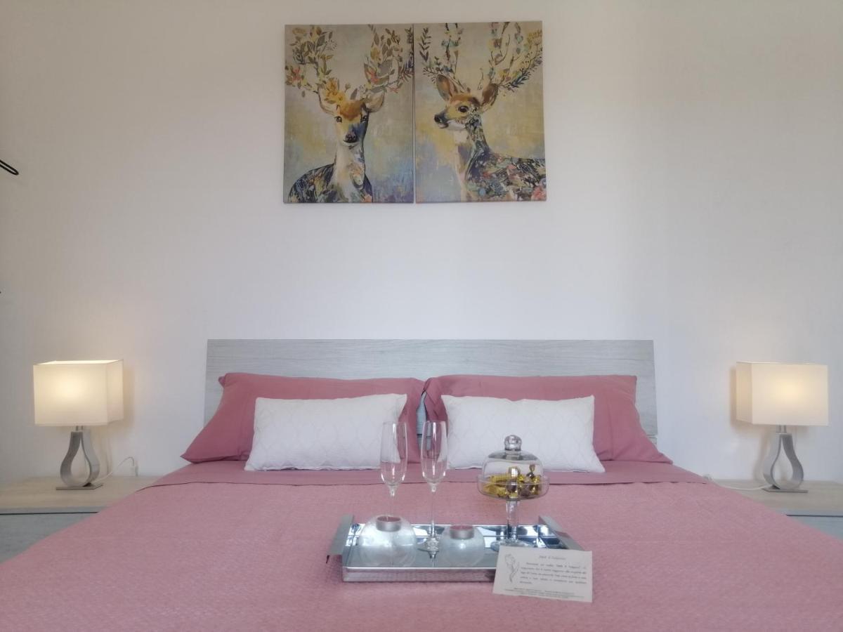 B&B Il Tulipano Como Dış mekan fotoğraf